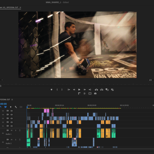 Premiere Pro project timeline